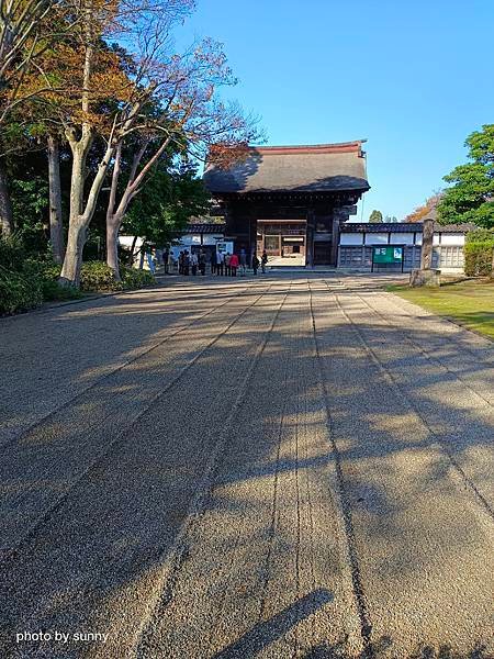 2023冬 日本北陸賞楓行❤富山縣高岡市 國寶高岡山瑞龍寺 