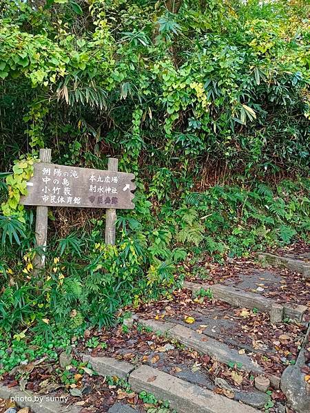 2023冬 日本北陸賞楓行❤富山縣高岡市 高岡古城公園❤