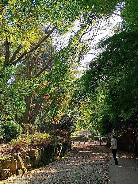 2023冬 日本北陸賞楓行❤富山縣高岡市 高岡古城公園❤