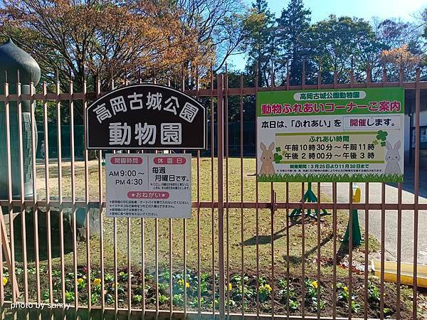 2023冬 日本北陸賞楓行❤富山縣高岡市 高岡古城公園❤