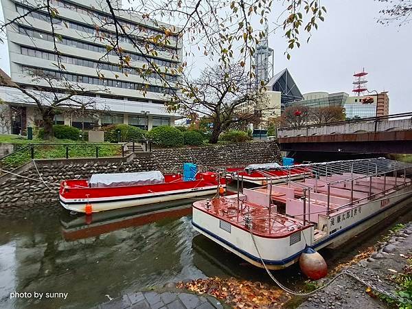 2023冬 日本北陸賞楓行❤富山縣富山市 富山城址公園內