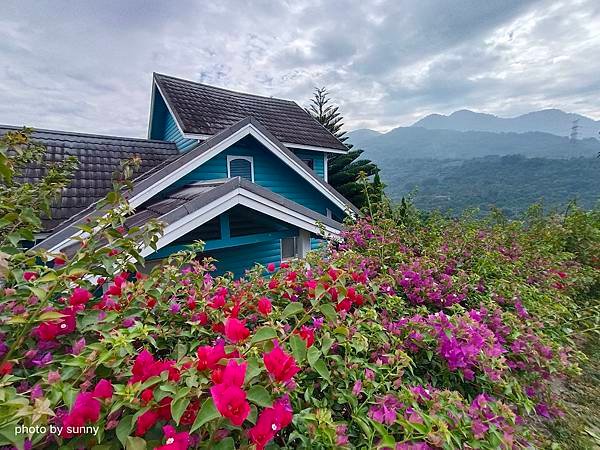 2023冬 台南小旅行❤台南東山 仙湖農場❤