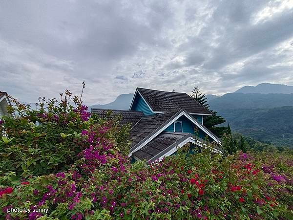 2023冬 台南小旅行❤台南東山 仙湖農場❤