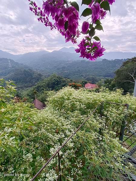 2023冬 台南小旅行❤台南東山 仙湖農場❤