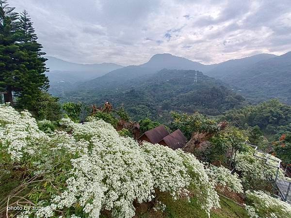 2023冬 台南小旅行❤台南東山 仙湖農場❤