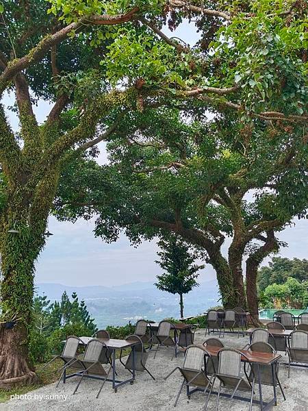 2023冬 台南小旅行❤台南東山 仙湖農場❤