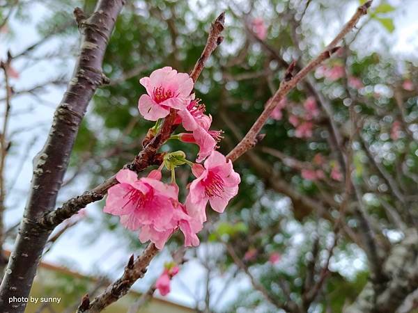 2024春 沖繩慶生自由行💖沖繩那霸市單軌電車奧武山公園站　