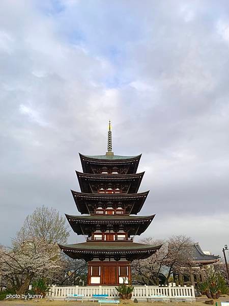 2025春 名古屋賞櫻自由行❤ 名古屋地鐵覺王山站 日泰寺賞