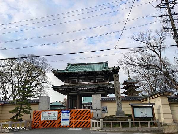 2025春 名古屋賞櫻自由行❤ 名古屋地鐵覺王山站 日泰寺賞