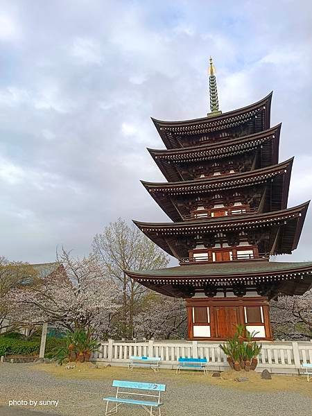 2025春 名古屋賞櫻自由行❤ 名古屋地鐵覺王山站 日泰寺賞