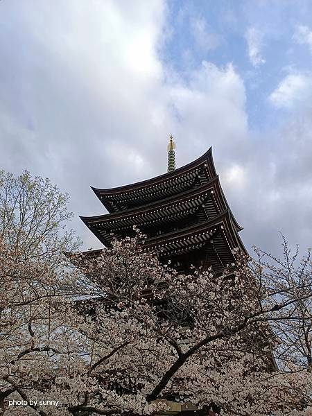 2025春 名古屋賞櫻自由行❤ 名古屋地鐵覺王山站 日泰寺賞