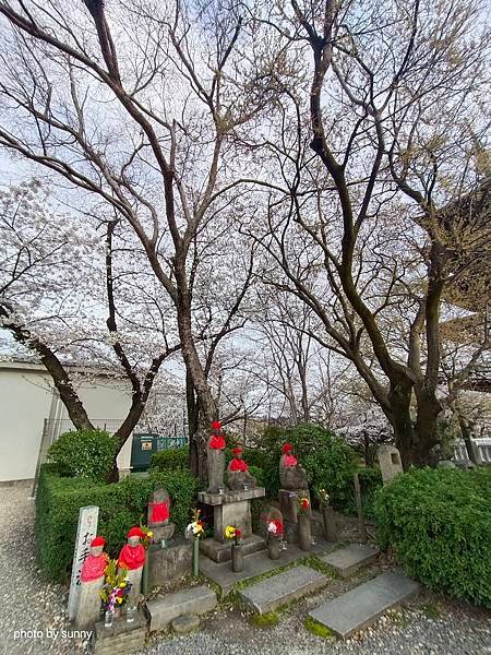 2025春 名古屋賞櫻自由行❤ 名古屋地鐵覺王山站 日泰寺賞