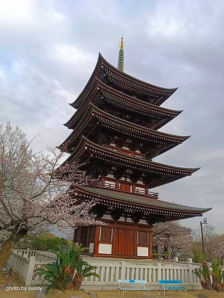 2025春 名古屋賞櫻自由行❤ 名古屋地鐵覺王山站 日泰寺賞