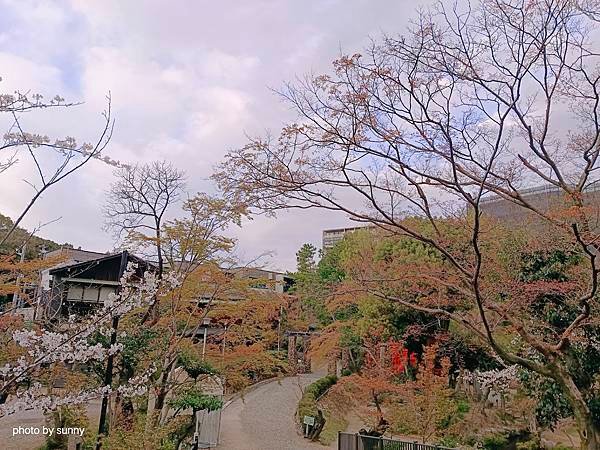 2025春 名古屋賞櫻自由行❤ 名古屋地鐵覺王山站 日泰寺賞