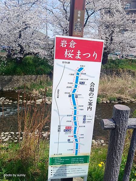 2025春 名古屋賞櫻自由行❤名古屋 櫻花百選名所 岩倉五条