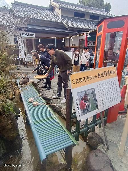 2025春 名古屋賞櫻自由行❤名古屋 犬山城&amp;針綱神社&amp;三光