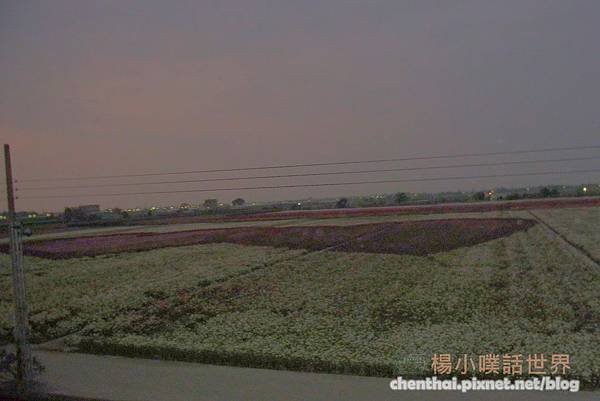 PhotoCap_010