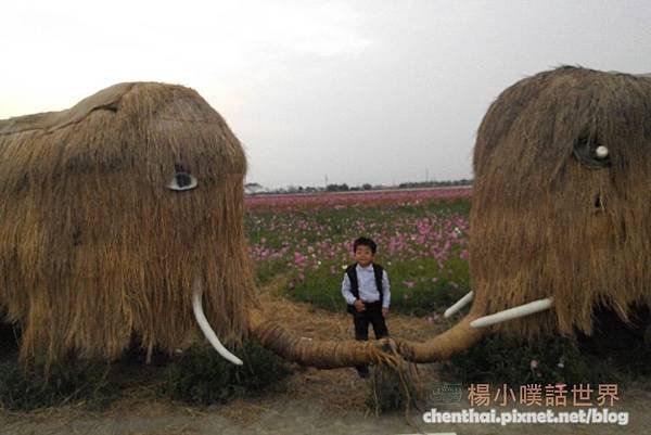 PhotoCap_002