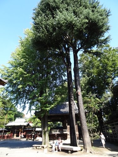 DSC00111