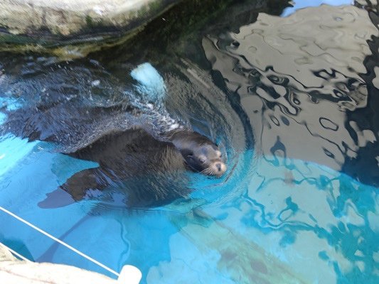 花蓮海洋公園