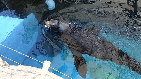 花蓮海洋公園