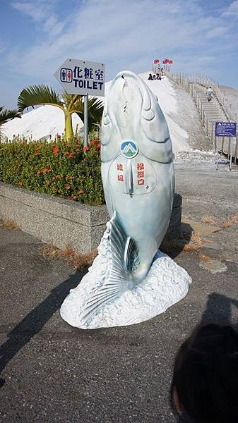 DSC01582.JPG