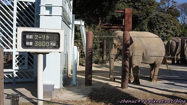 上野動物園