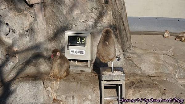 上野動物園