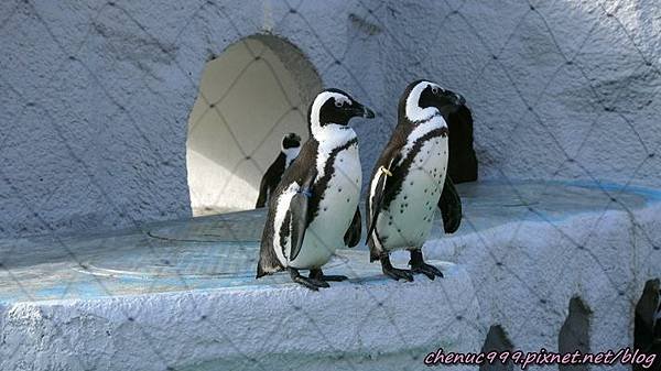 上野動物園