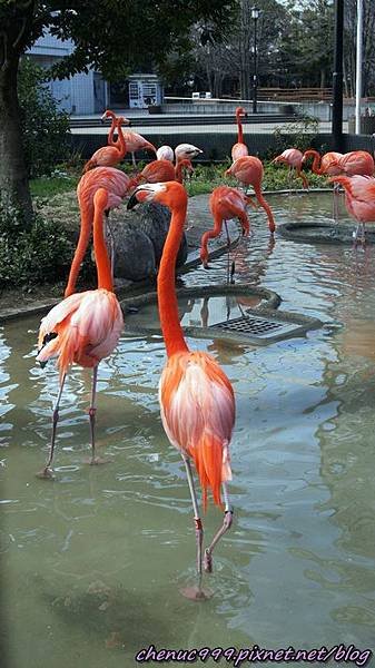 上野動物園