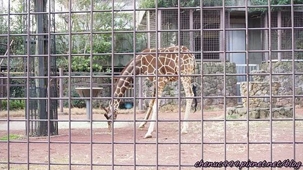 上野動物園