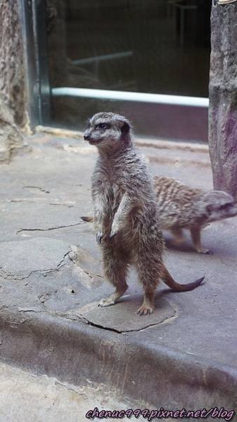 上野動物園