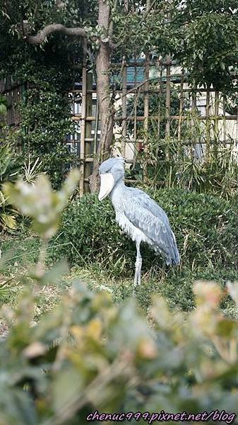 上野動物園