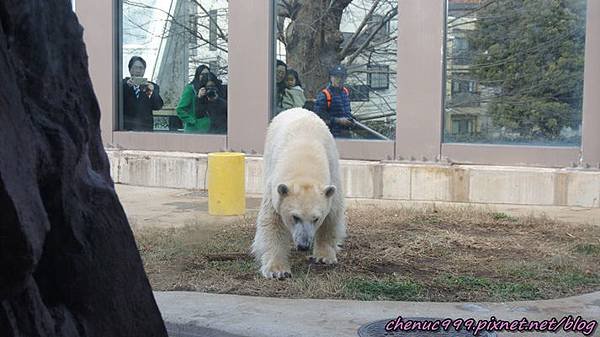 上野動物園