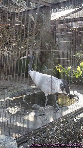 上野動物園