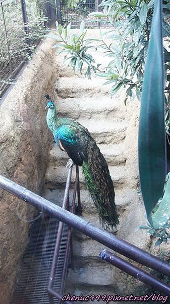 上野動物園