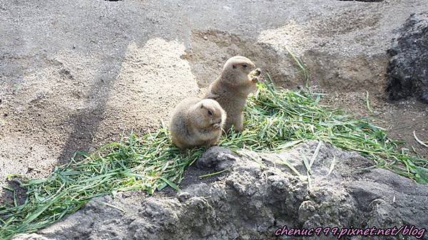 上野動物園