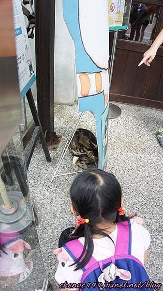 猴硐貓村