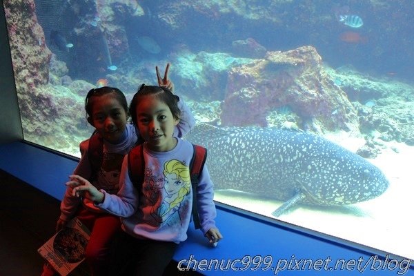 沖繩水族館