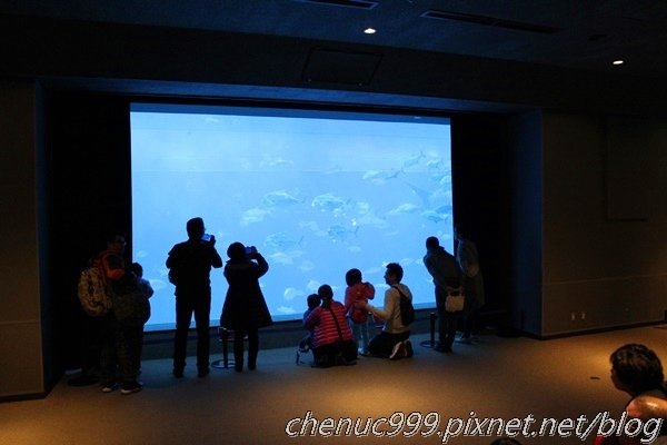 沖繩水族館