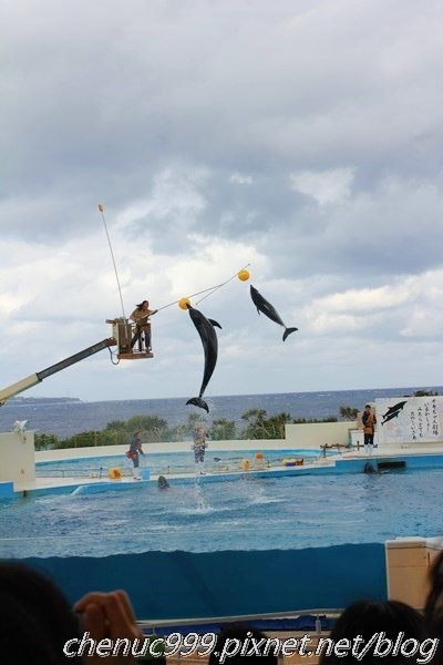 沖繩水族館