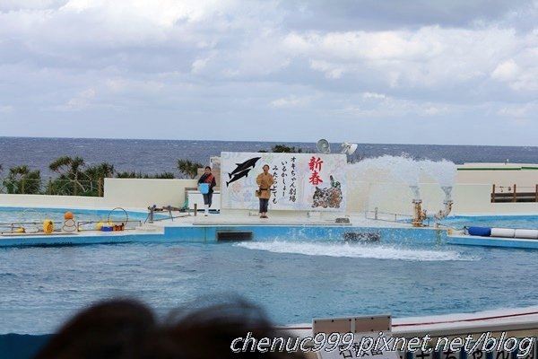 沖繩水族館