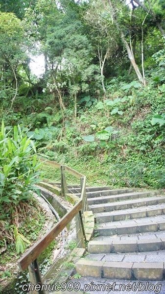 日月潭步道