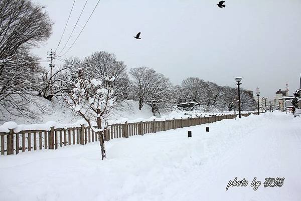 山形霞城公園