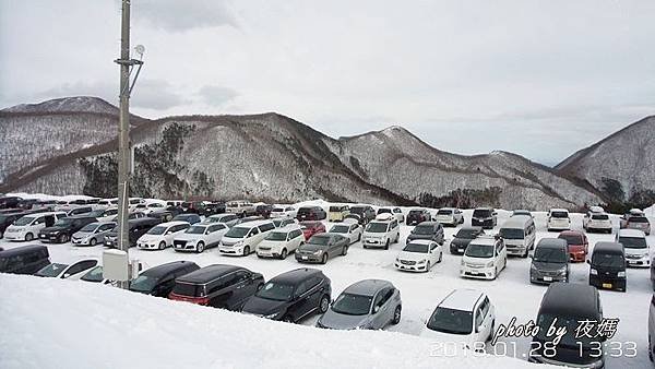 泉高原雪場