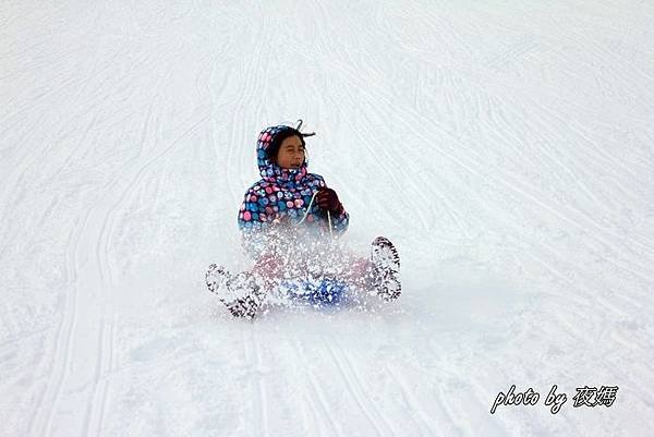 泉高原雪場