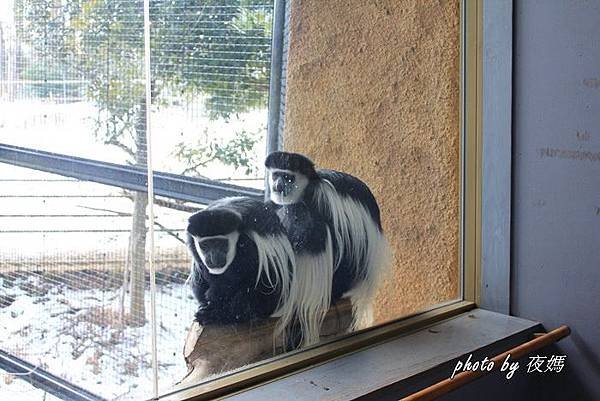 八木山動物園