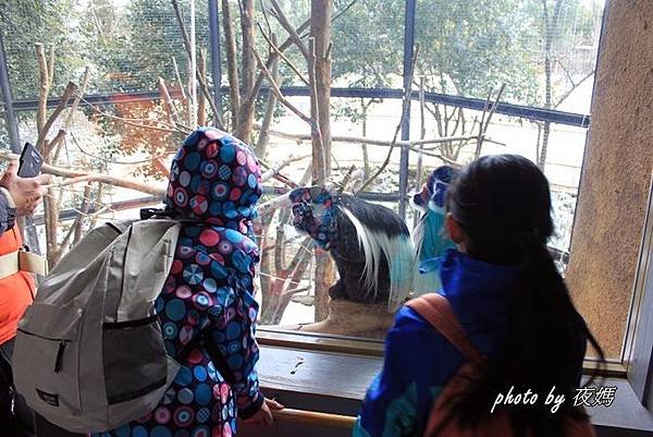 八木山動物園