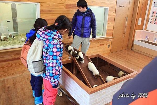 八木山動物園