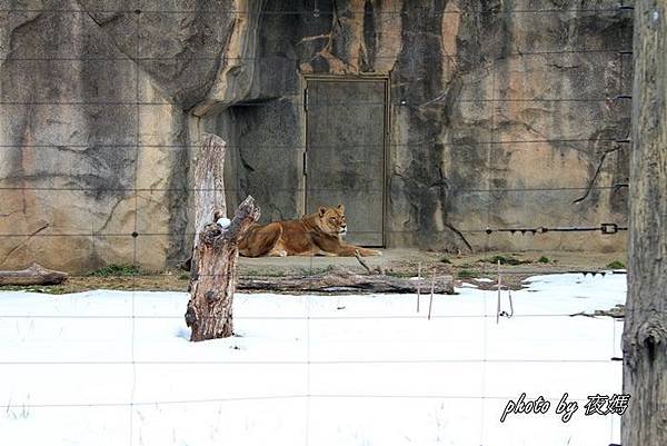 八木山動物園